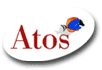 Intranet Atos
